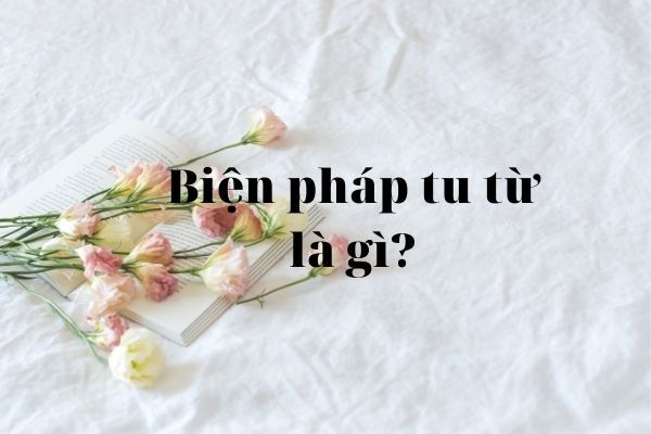 tác dụng của biện pháp tu từ