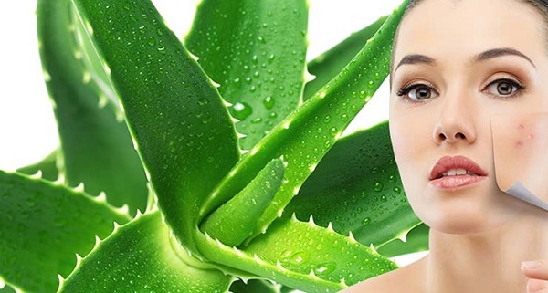 tác dụng của nha đam