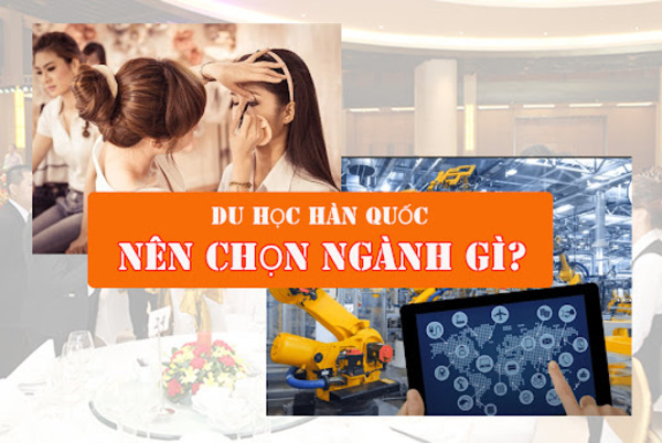 du học Hàn Quốc nên học ngành gì